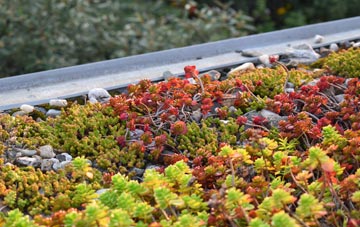the cost of Lower Meend green roof installation