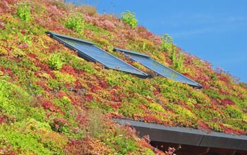 Lower Meend living roof systems