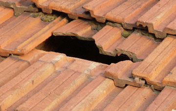 roof repair Lower Meend, Gloucestershire